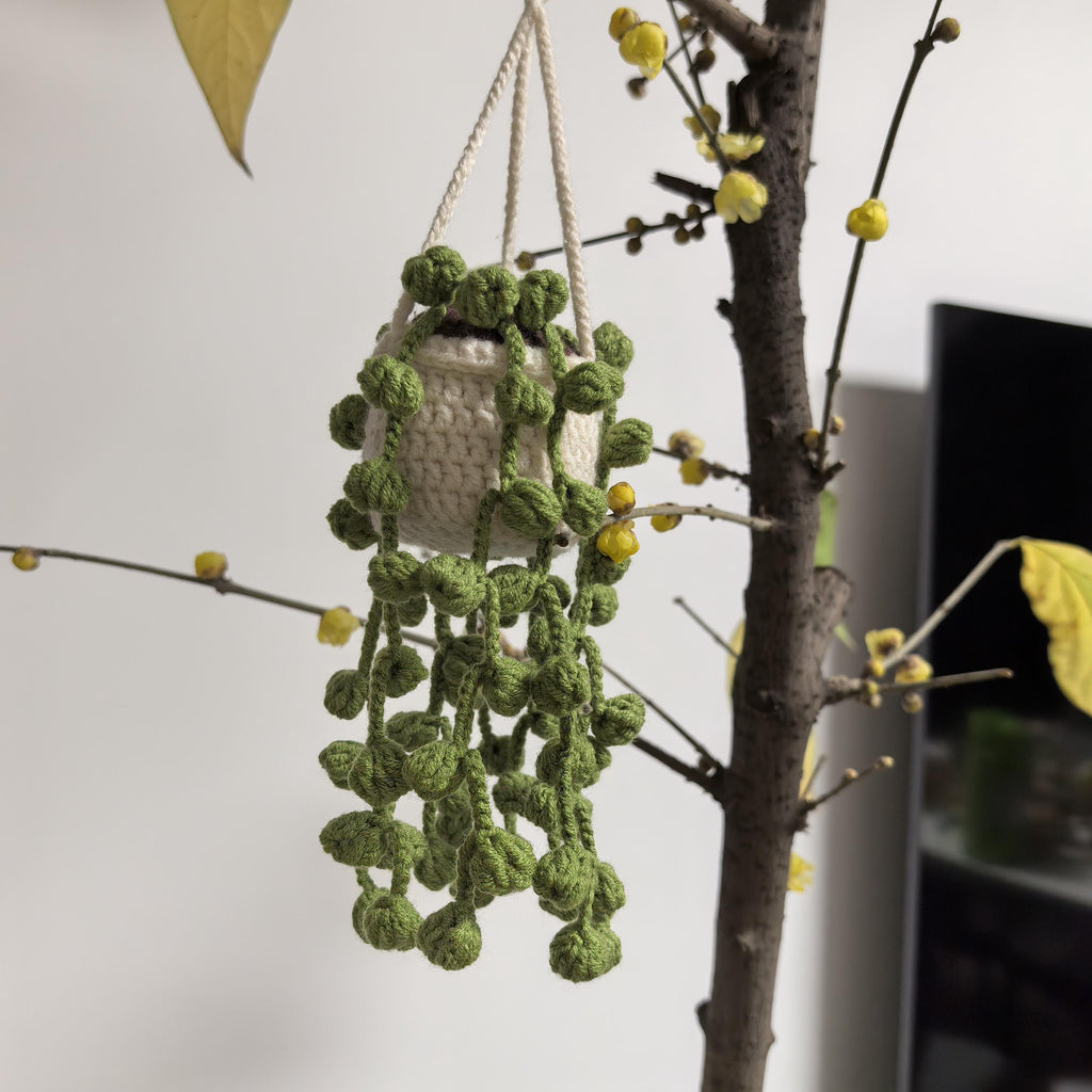 Handmade Crochet Hanging, Plant Car Charm or Home Decor
