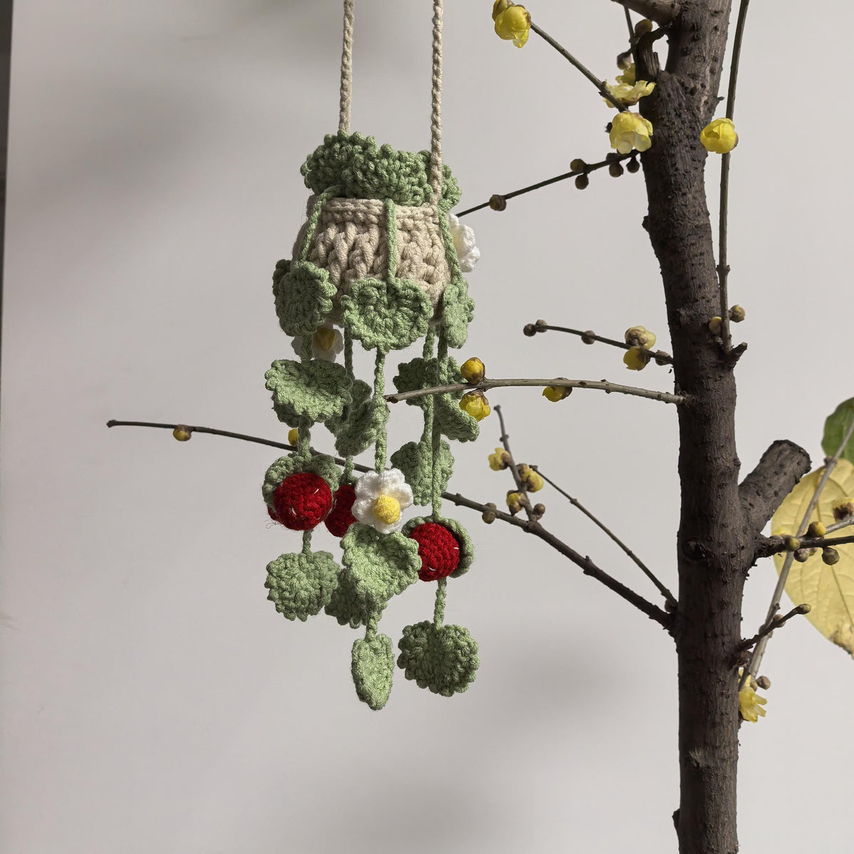 Handmade Crochet Hanging, Plant Car Charm or Home Decor